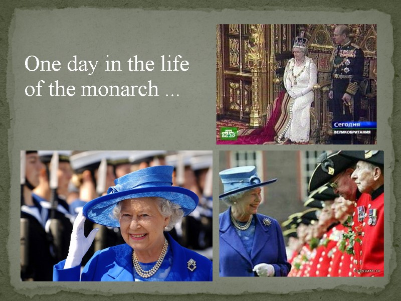 One day in the life of the monarch ...